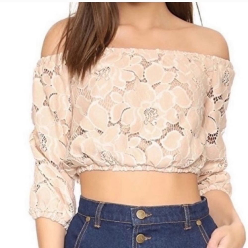 Anthropologie Tularosa lace crop top